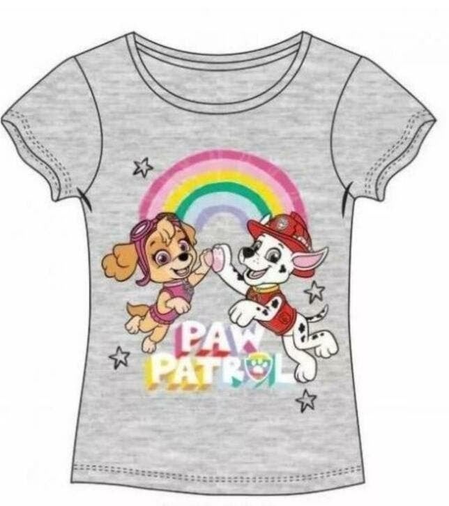 Paw Patrol T-shirt Pawsitive Grijs - Maat 116 - 128, Meisje, Nieuw, Ophalen of Verzenden, Shirt of Longsleeve