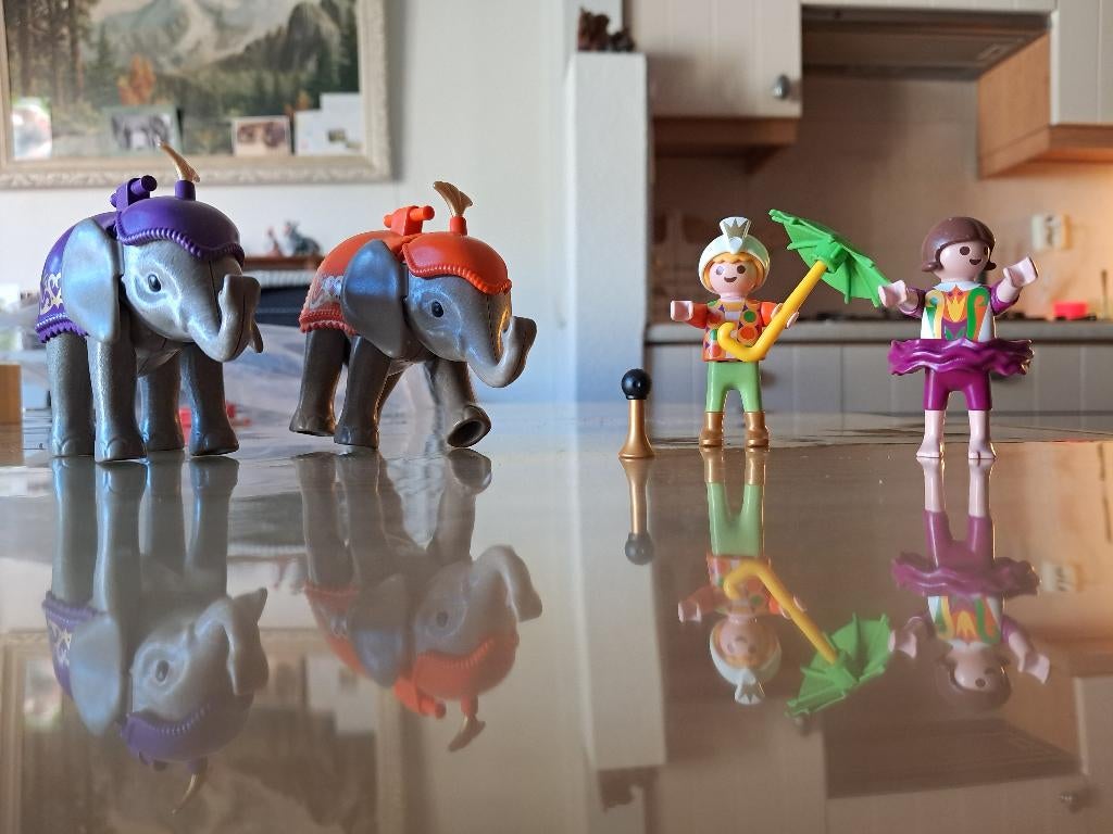 playmobil olifantendressuur, Ophalen of Verzenden, Gebruikt, Complete set