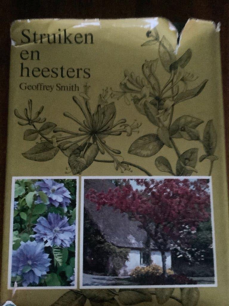 Struiken en heesters van Geoffrey Smith, Tuin en Terras, Ophalen of Verzenden, Haagbeuk, Struik, 250 cm of meer