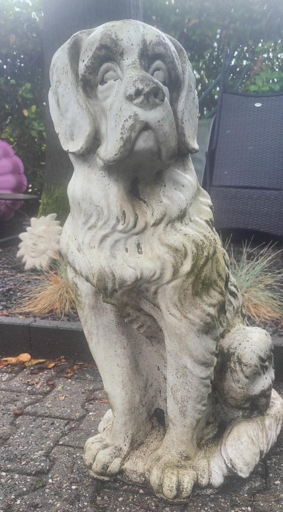 Tuinbeeld hond - massief beton, Tuin en Terras, Tuinbeelden, Ophalen, Gebruikt, Beton, Dierenbeeld