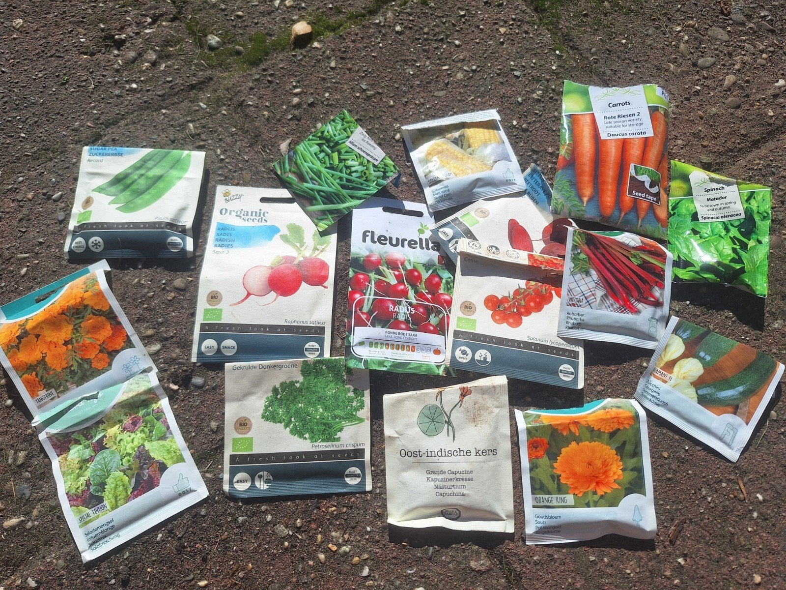 Moestuinzaden: groenten, kruiden, bloemen, Volle zon, Groenteplanten, Eenjarig, Ophalen of Verzenden