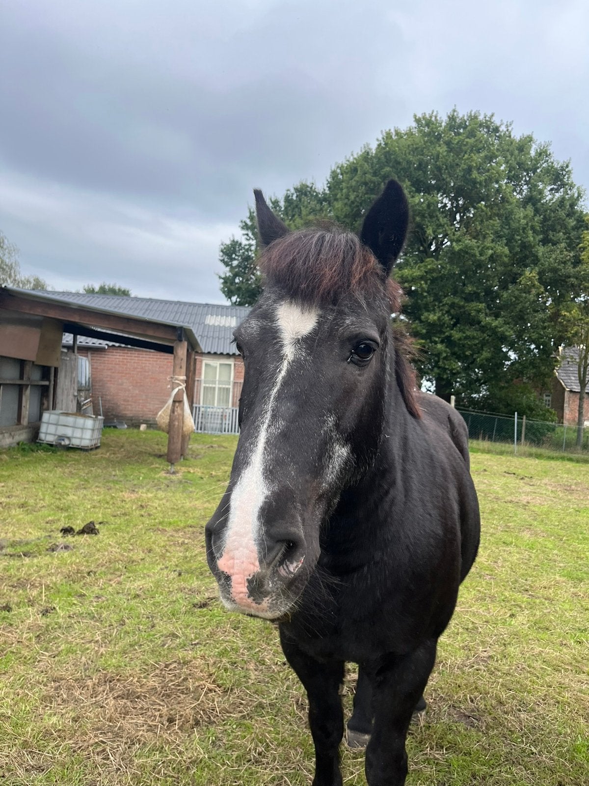Hulp voor mirage