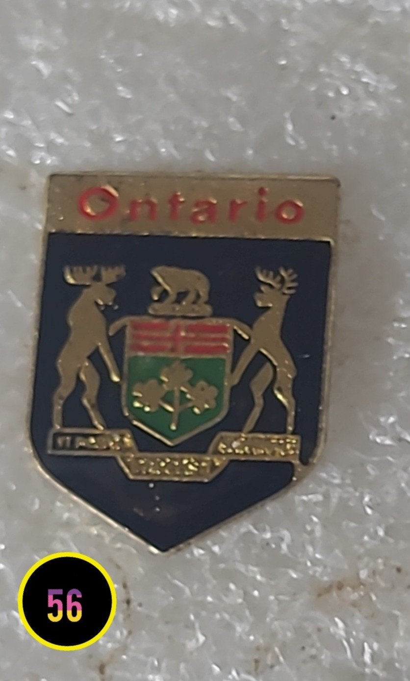 Vintage Ontario Pin - Canadees Souvenir Speldje, Verzamelen, Speldjes, Pins en Buttons, Verzenden