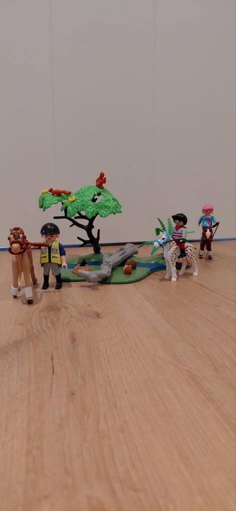 Playmobil buitenrit 6947, Ophalen of Verzenden, Zo goed als nieuw, Complete set