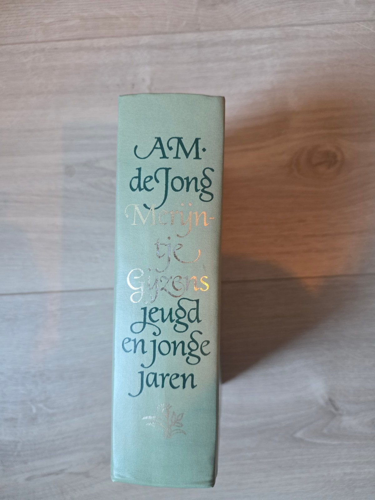 A.M. de Jong - Merijntje Gijzens Jeugd en Jonge Jaren, Ophalen of Verzenden, Zo goed als nieuw, A.M. de Jong, Fictie