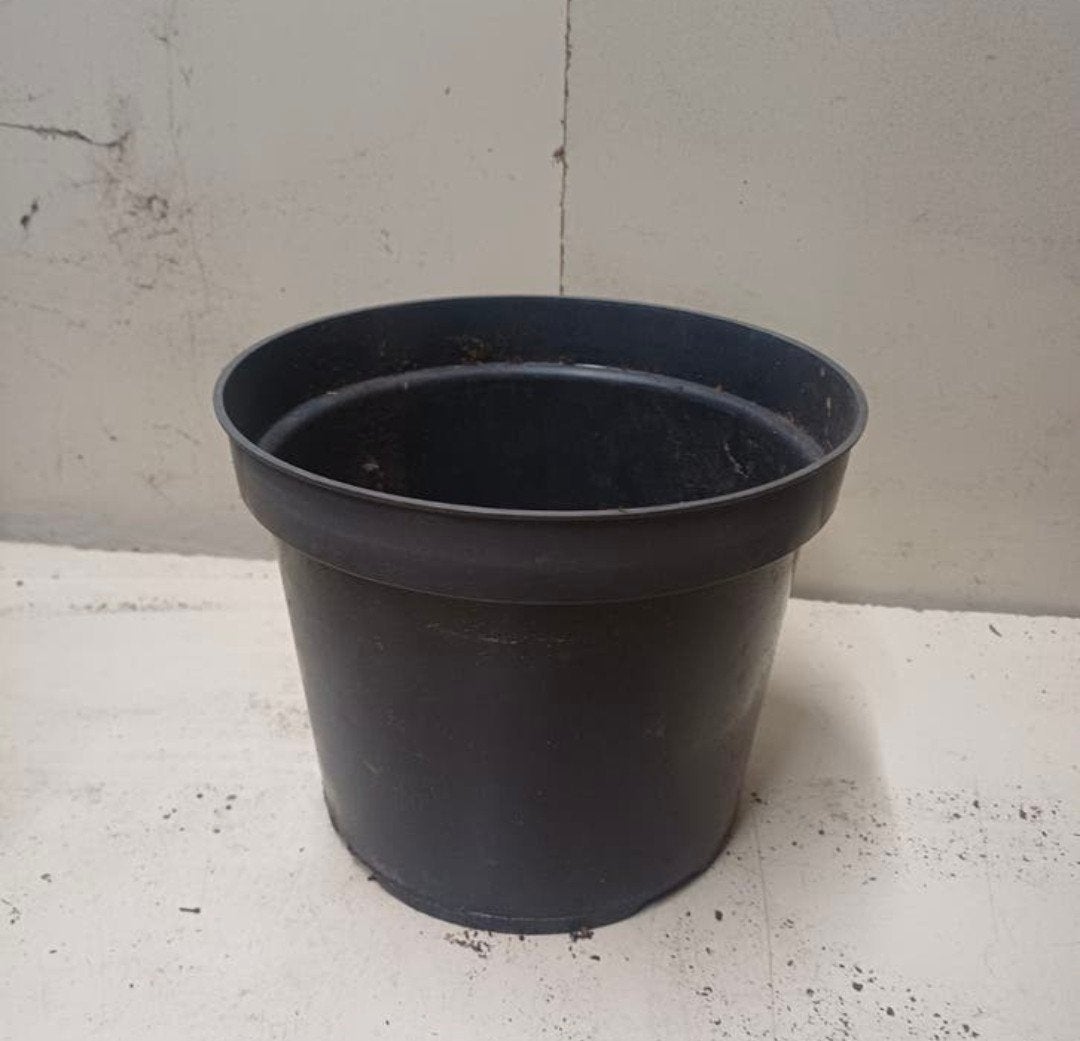 Kweekpotten plantenpotten bloempotten 3 liter, Tuin en Terras, Kunststof, Gebruikt, Rond, Ophalen of Verzenden