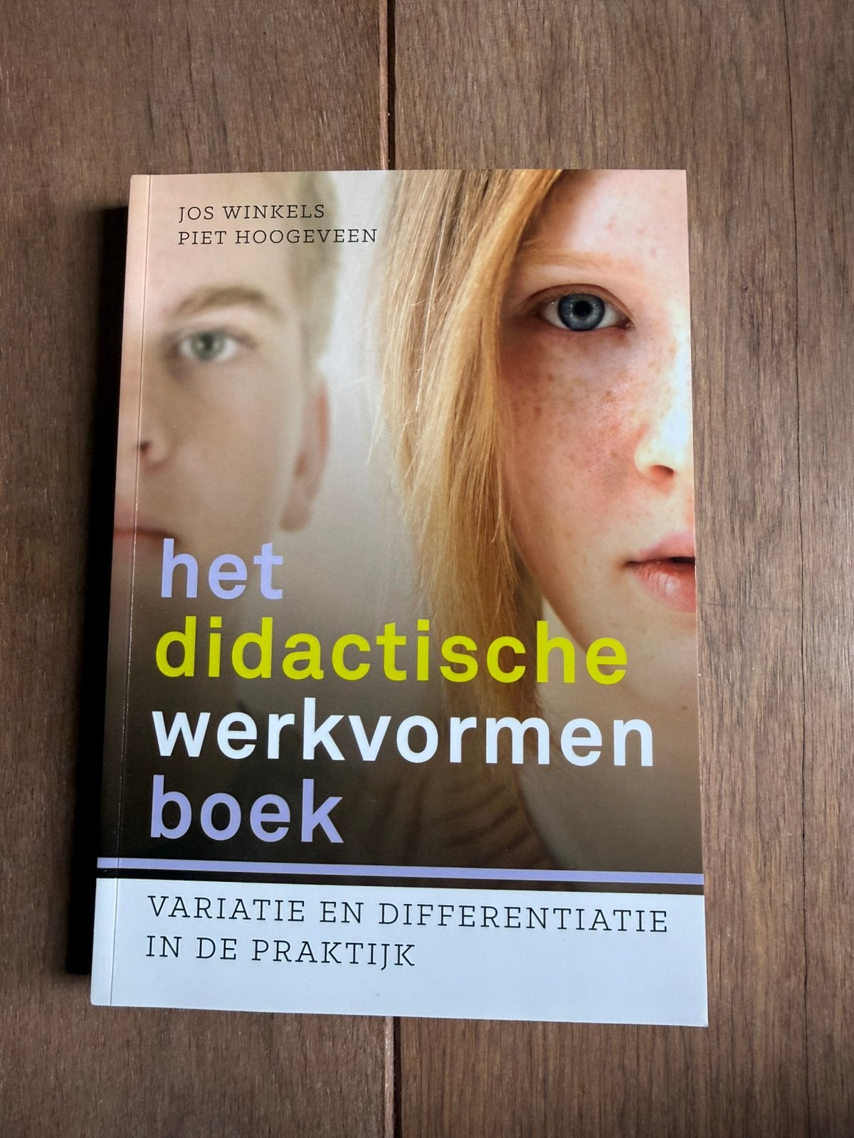 Piet Hoogeveen - Het didactische werkvormenboek, Sociale wetenschap, Nieuw, Ophalen of Verzenden, Piet Hoogeveen; Jos Winkels