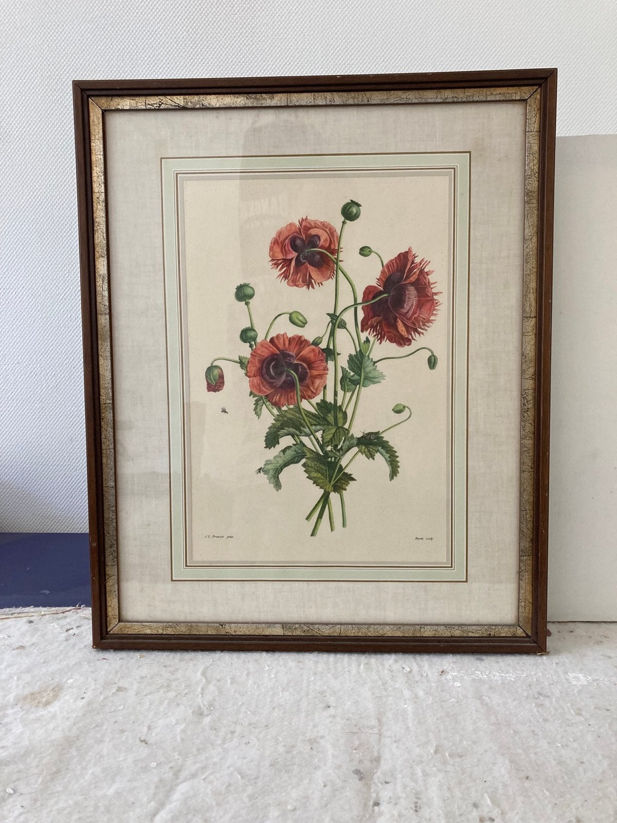 Vintage ingelijste botanische print van klaprozen, Antiek en Kunst, Kunst | Schilderijen | Klassiek, Klassiek, Print, Papier, Ophalen