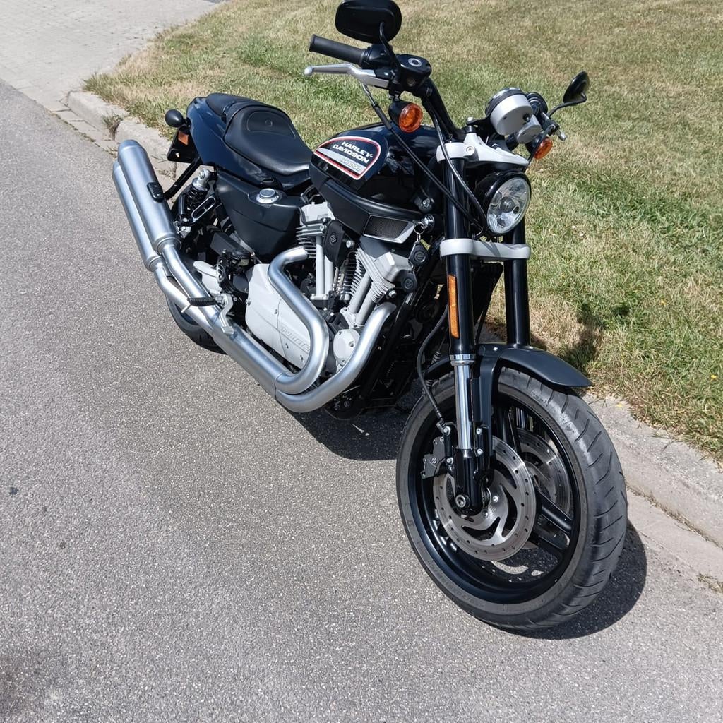 Harley Davidson XR 1200 2010 org NL 5hd, Laan van Vredenoord 33
2289 DA  Rijswijk, NL, Chopper, Bedrijf, 1202 cc