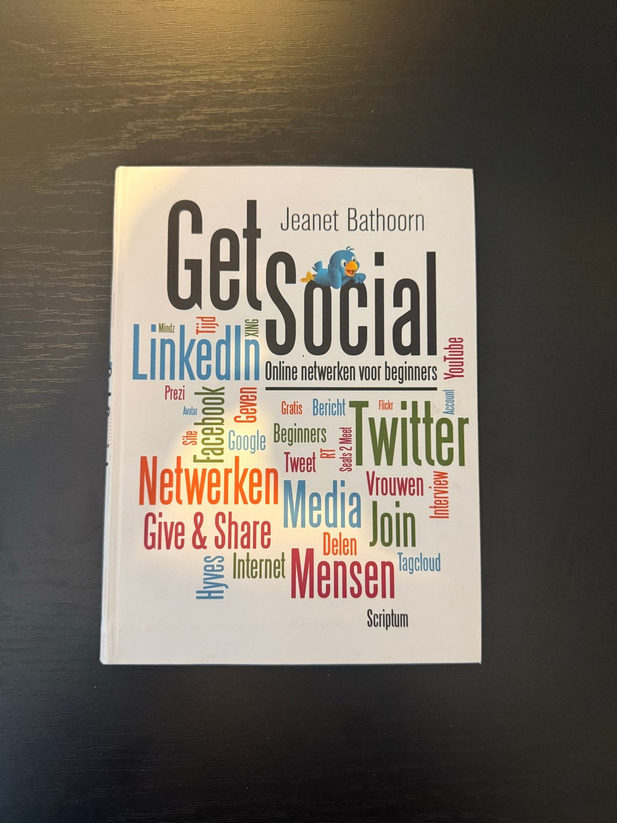 Get Social - Online netwerken voor beginners, Ophalen of Verzenden, Zo goed als nieuw, Internet of Webdesign
