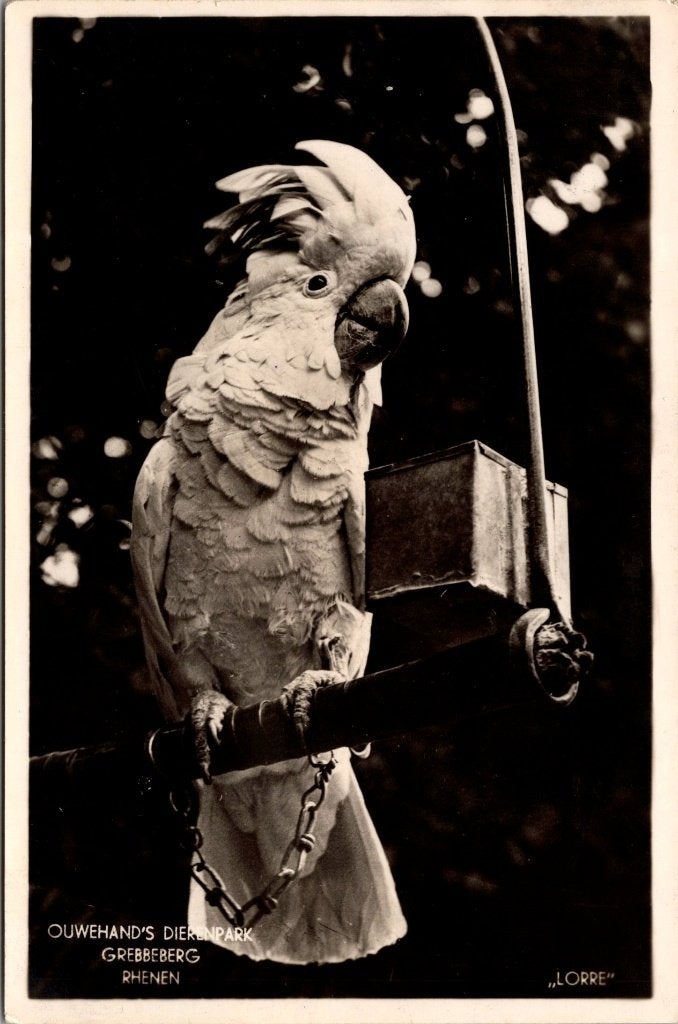 Rhenen - 8 oude ansichtkaarten III Ouwehands Dierenpark, Verzamelen, Verzenden, 1920 tot 1940, Gelopen, Utrecht