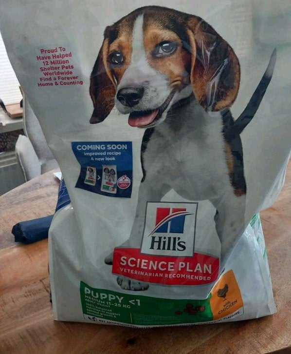 Hill's  pup medium nog 3 kg ongeveer, Ophalen, Hond