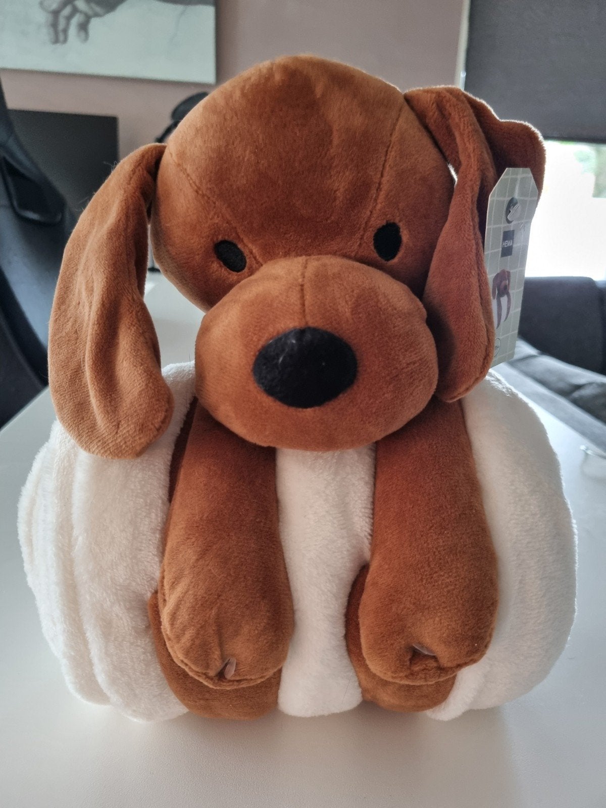 Hema knuffel hond met deken, Ophalen of Verzenden, Nieuw, Overige typen
