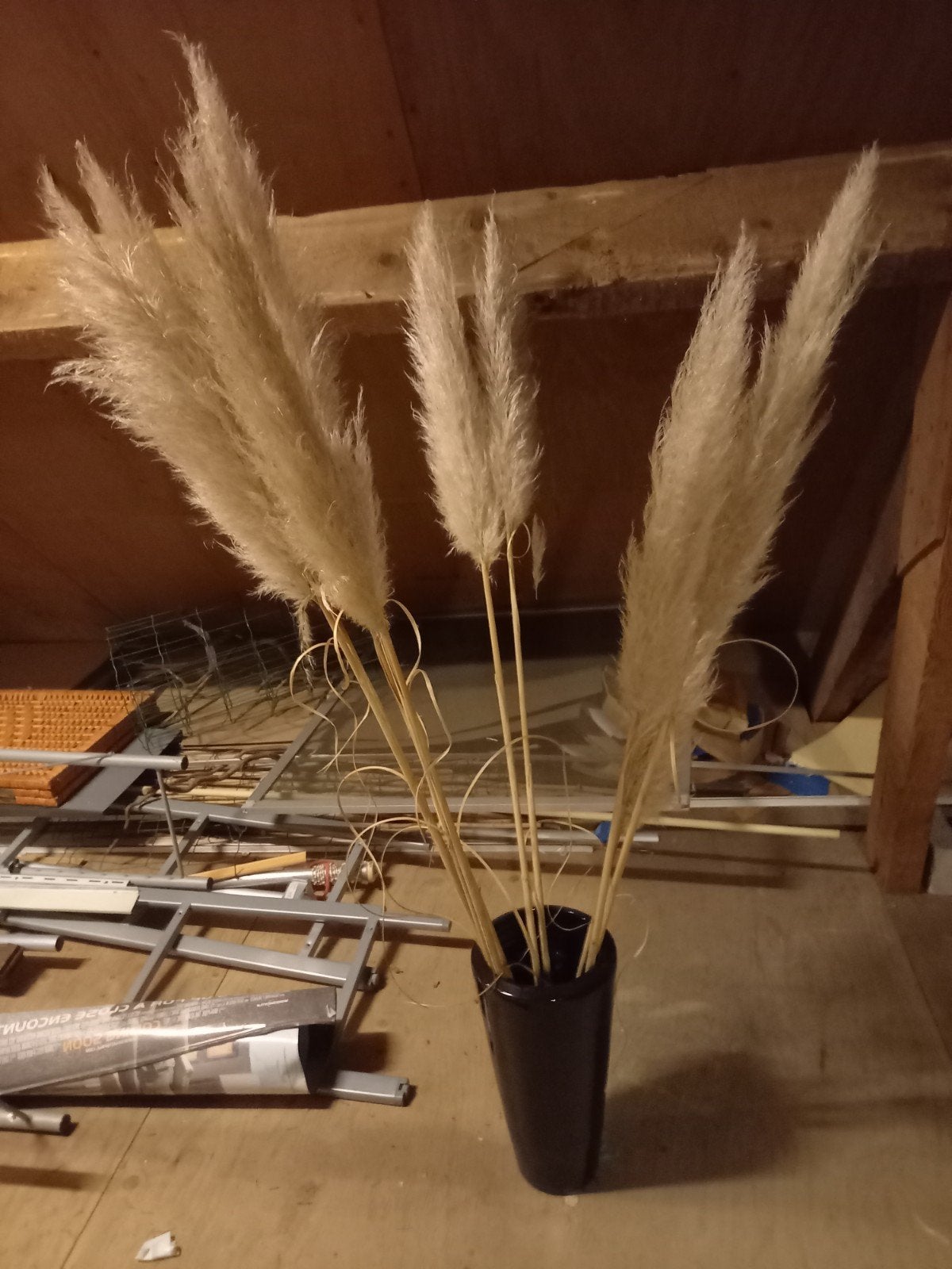 Pampasgras, Huis en Inrichting, Woonaccessoires | Droogbloemen, Ophalen of Verzenden