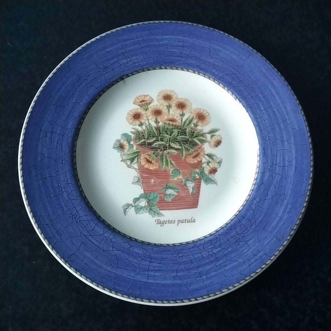 wedgwood  Sarah's garden ontbijt/ dessertbord, Ophalen of Verzenden, Zo goed als nieuw, Porselein, Overige typen
