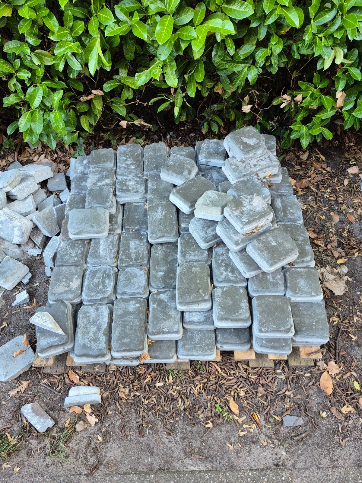 betonnen kinderkopjes, Ophalen, Steen of Klei, 15 m² of meer, Dakpannen