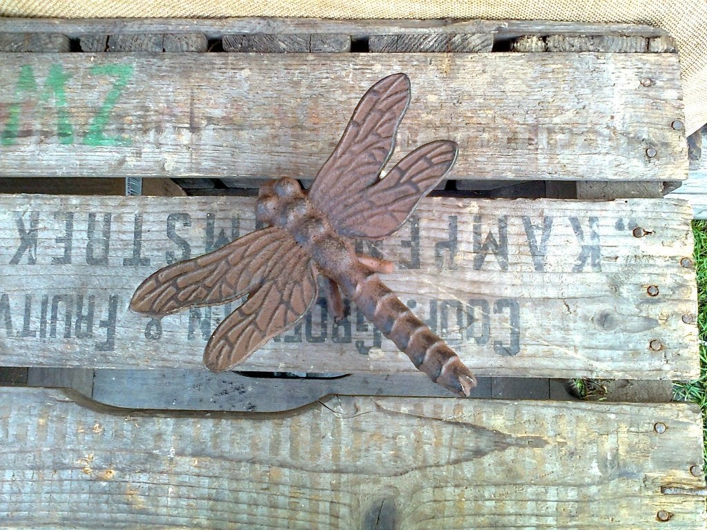 Decoratieve, mooie Libelle, bruin gietijzer, Ophalen of Verzenden, Nieuw, Metaal, Dierenbeeld