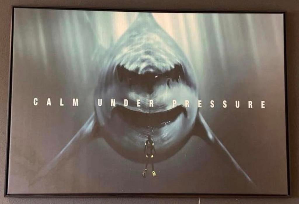 Ingelijst canvas 'Calm Under Pressure' haai 83x123cm, Ophalen, 100 tot 125 cm, 75 cm of meer, Print