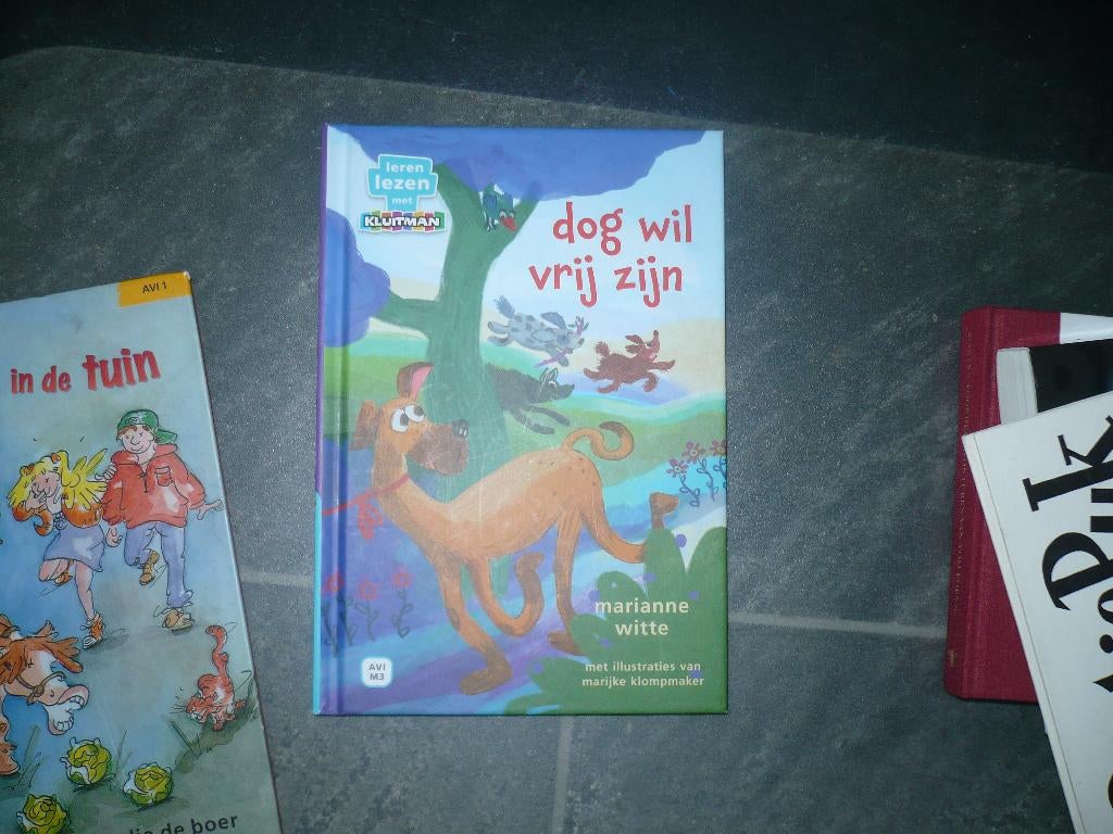 7 avi leesboekjes groep 3, Ophalen of Verzenden, Gelezen, Claudia de Boer, Fictie algemeen