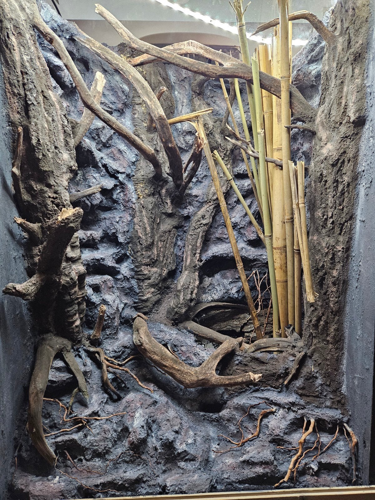 Kaal vivarium 80x60x120 ophalen vanaf 14 november, Ophalen