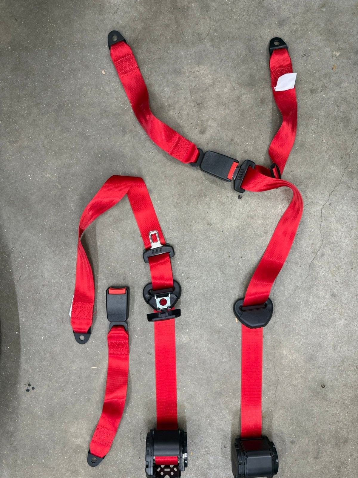 Rode Gordels Complete Set Nieuw Auto Buggy SxS Cross, Ophalen of Verzenden, Nieuw