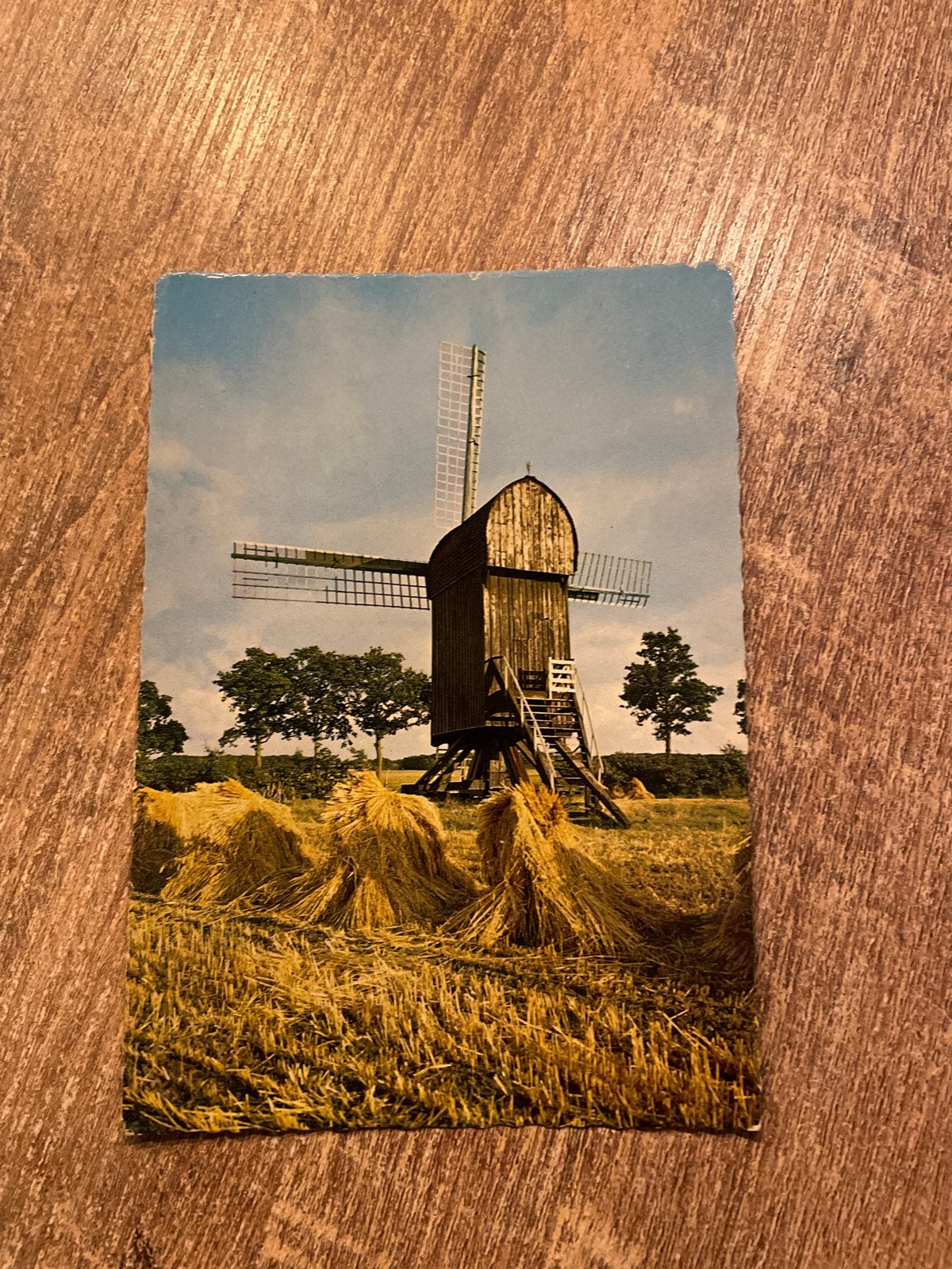 Oude ansichtkaart Standerdmolen Ter Haar (Gr), Ophalen of Verzenden, 1960 tot 1980, Ongelopen, Groningen