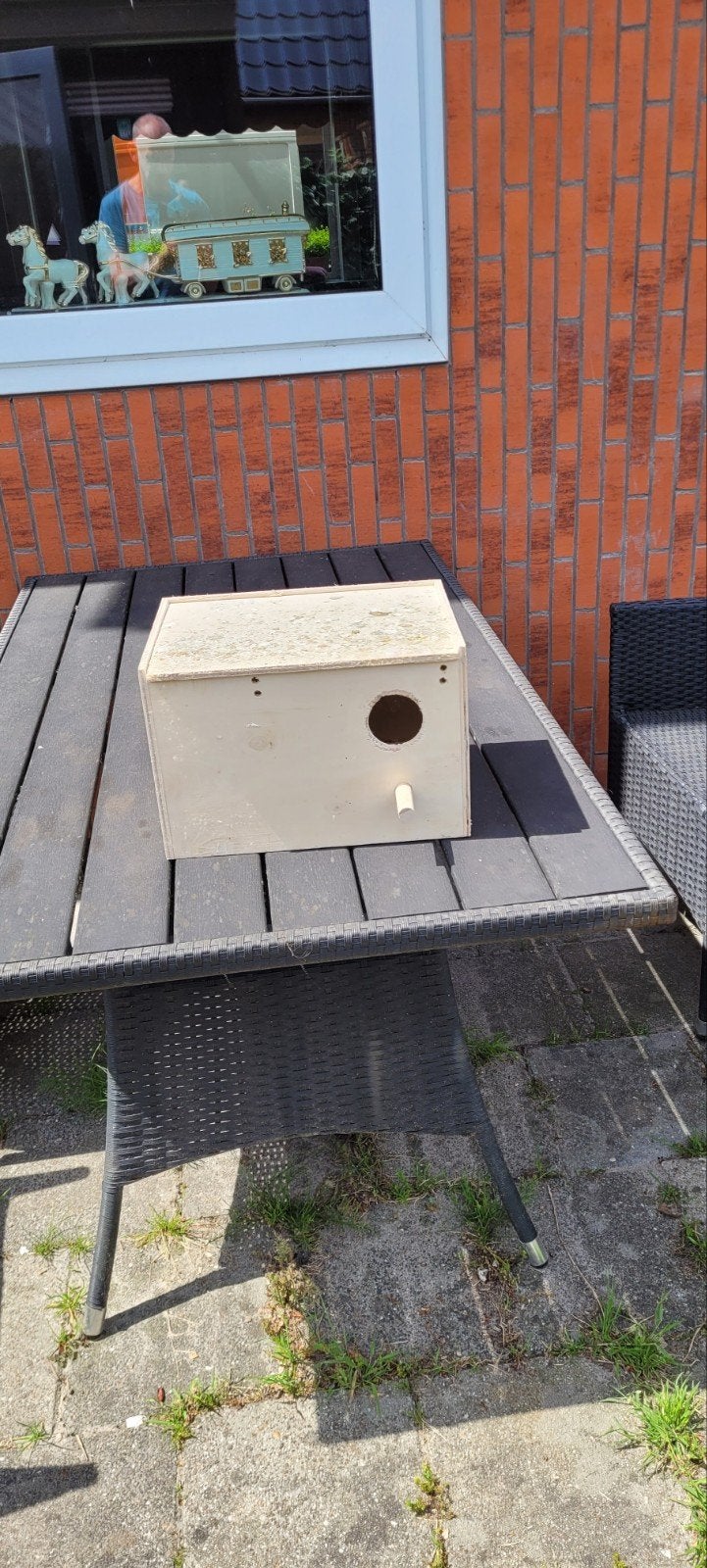Dieren, Ophalen of Verzenden, 25 tot 50 cm, Minder dan 100 cm