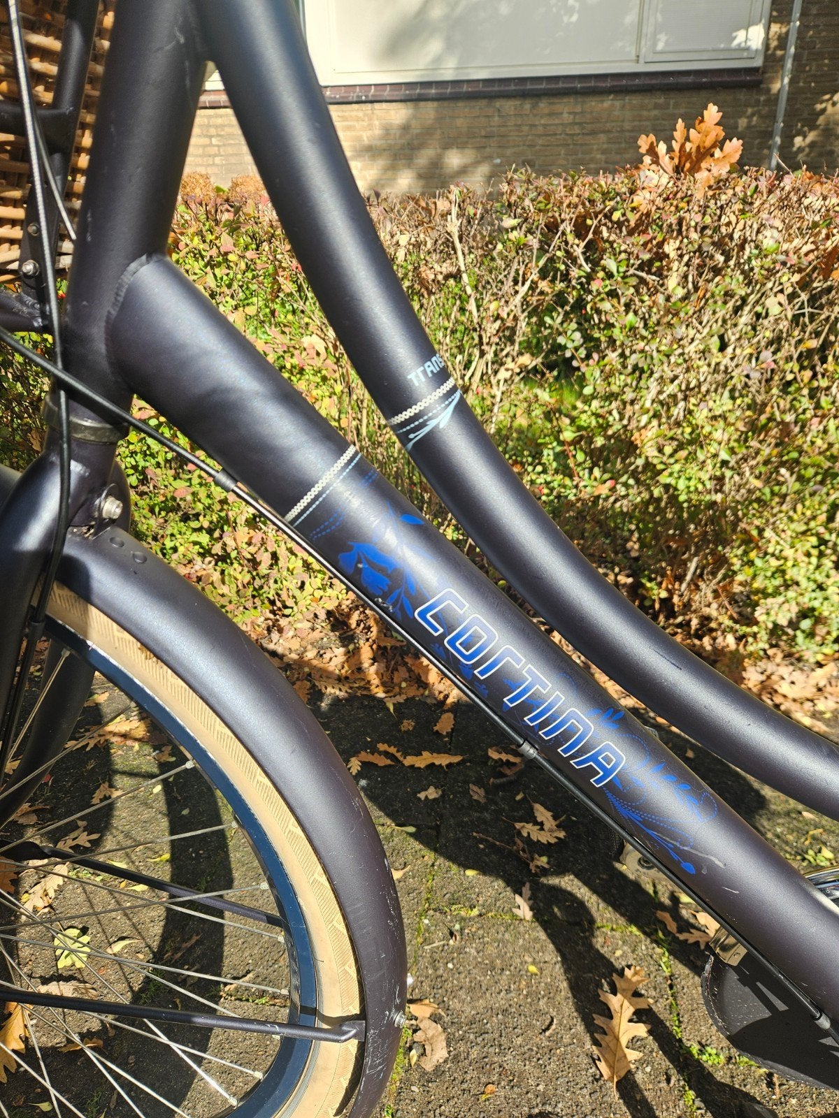 Foto 8 van Cortina roots transportfiets/ moederfiets 28 inch