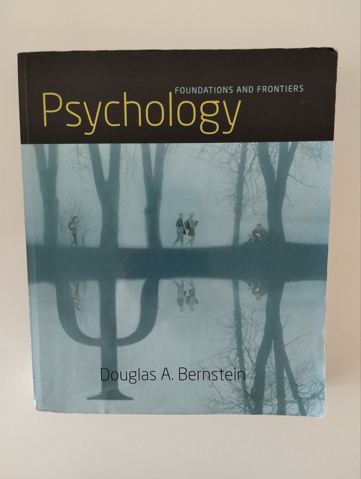 Psychology - Foundations and Frontiers, Boeken, Gelezen, Verzenden, WO, Bernstein