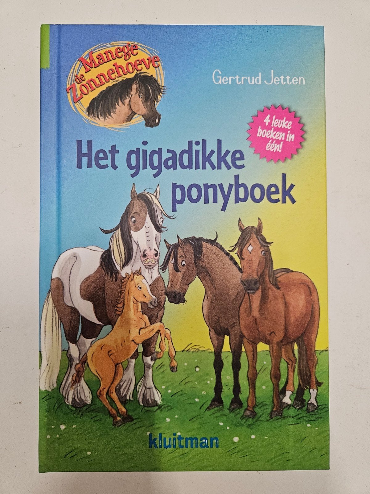 Gertrud Jetten - Het gigadikke ponyboek, Ophalen of Verzenden, Zo goed als nieuw, Gertrud Jetten
