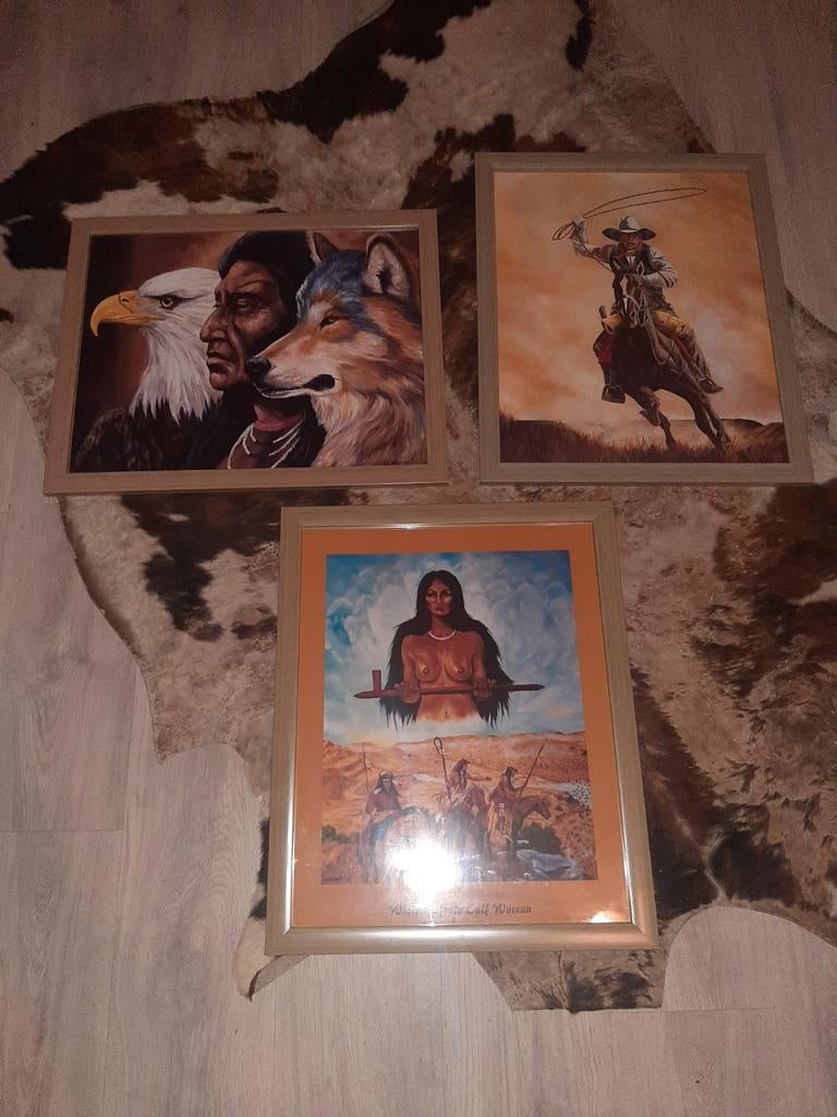 Indiaan schilderij, Antiek en Kunst, Ophalen