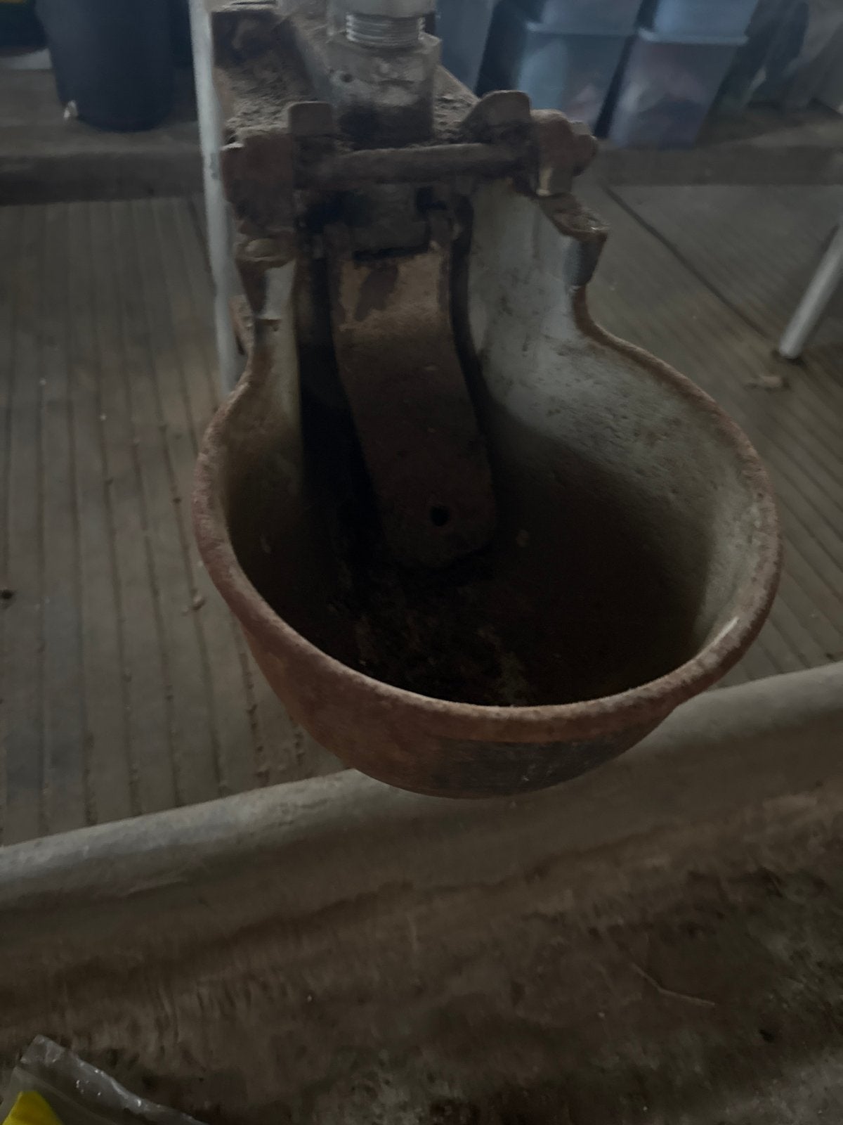 18 drinkwaterbakken uit stal, Dieren en Toebehoren, Toebehoren, 4 paarden of pony's of meer