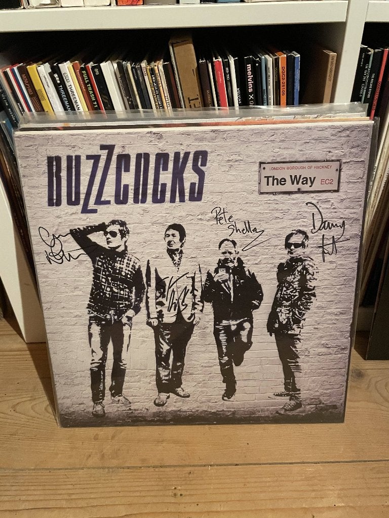 Meerdere LP's ALTERNATIVE & PUNK ETC, Ophalen of Verzenden, Zo goed als nieuw, 12 inch, Alternative