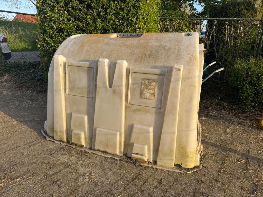 Schuilstal kalver iglo, Schaap