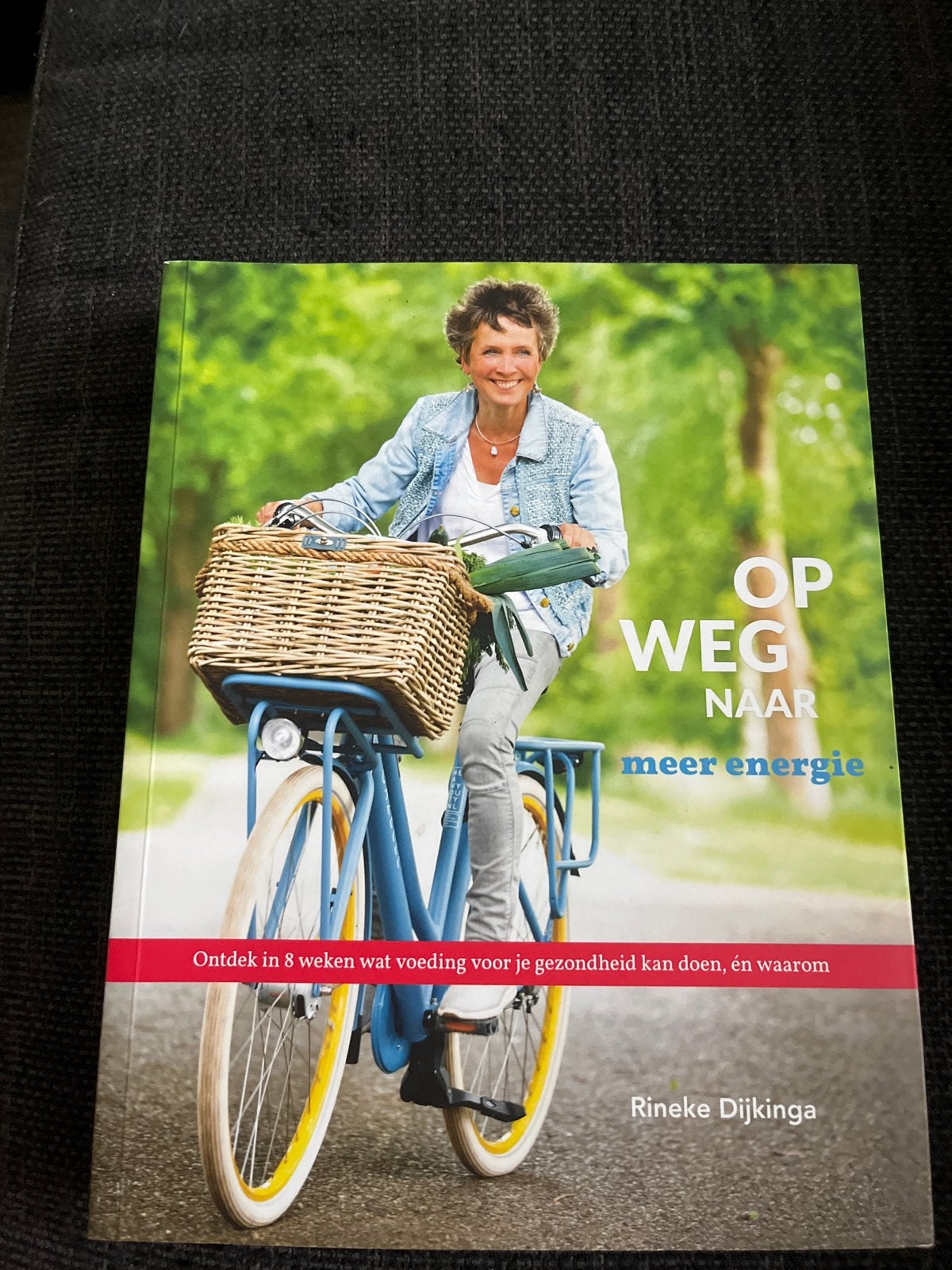 Op Weg Naar Meer Energie - Rineke Dijkinga, Ophalen of Verzenden, Zo goed als nieuw, Dieet en Voeding