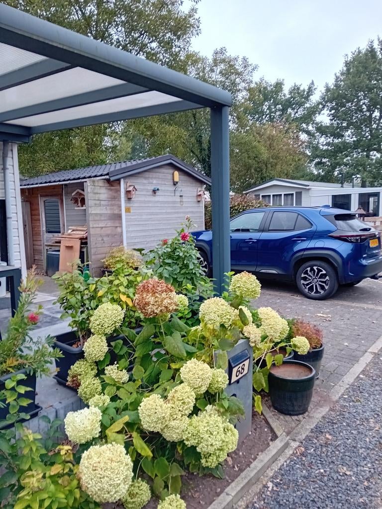Luxe chalet, Caravans en Kamperen