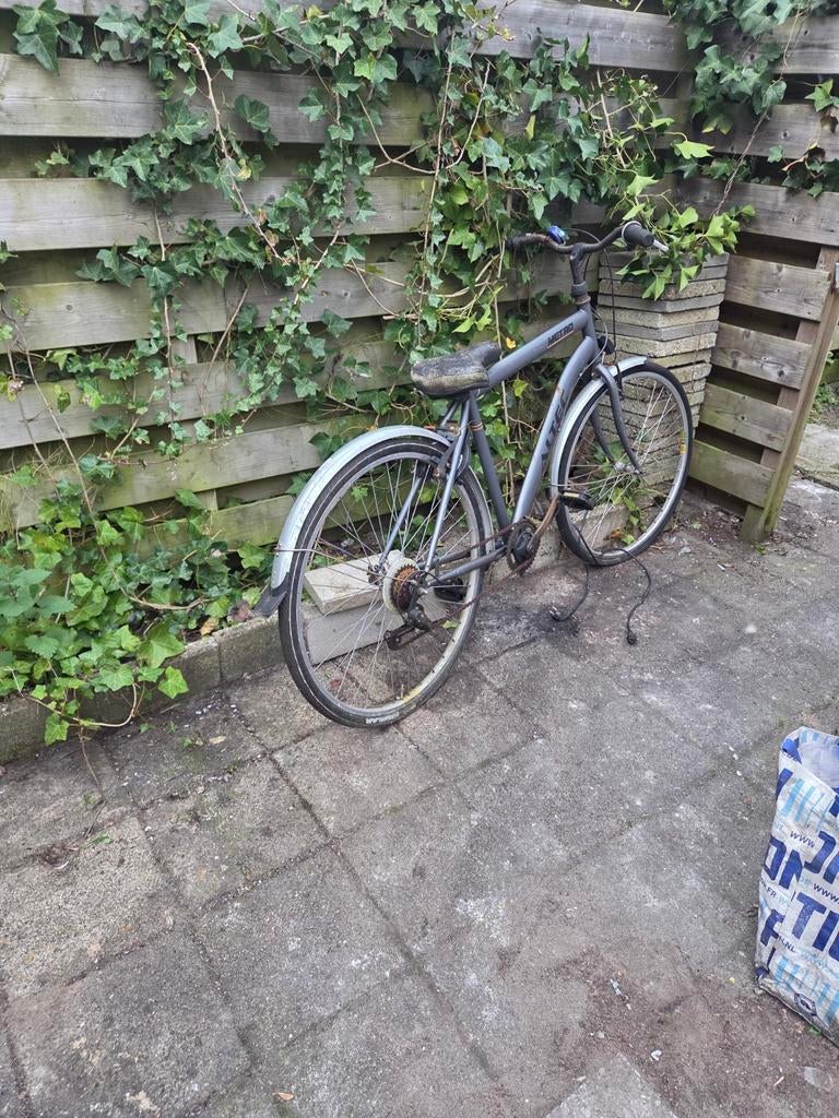 Damesfiets grijs, Ophalen of Verzenden