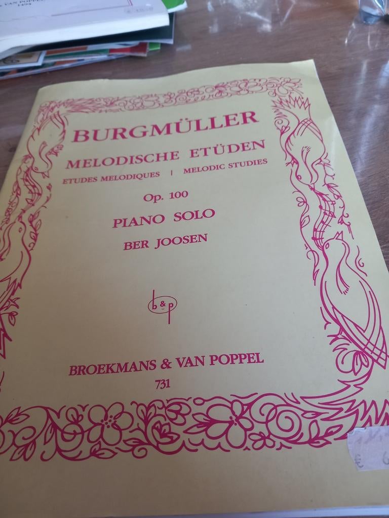 Burgmüller Melodische Etüden Op. 100 Piano Solo, Muziek en Instrumenten, Gebruikt, Klassiek, Ophalen of Verzenden, Thema
