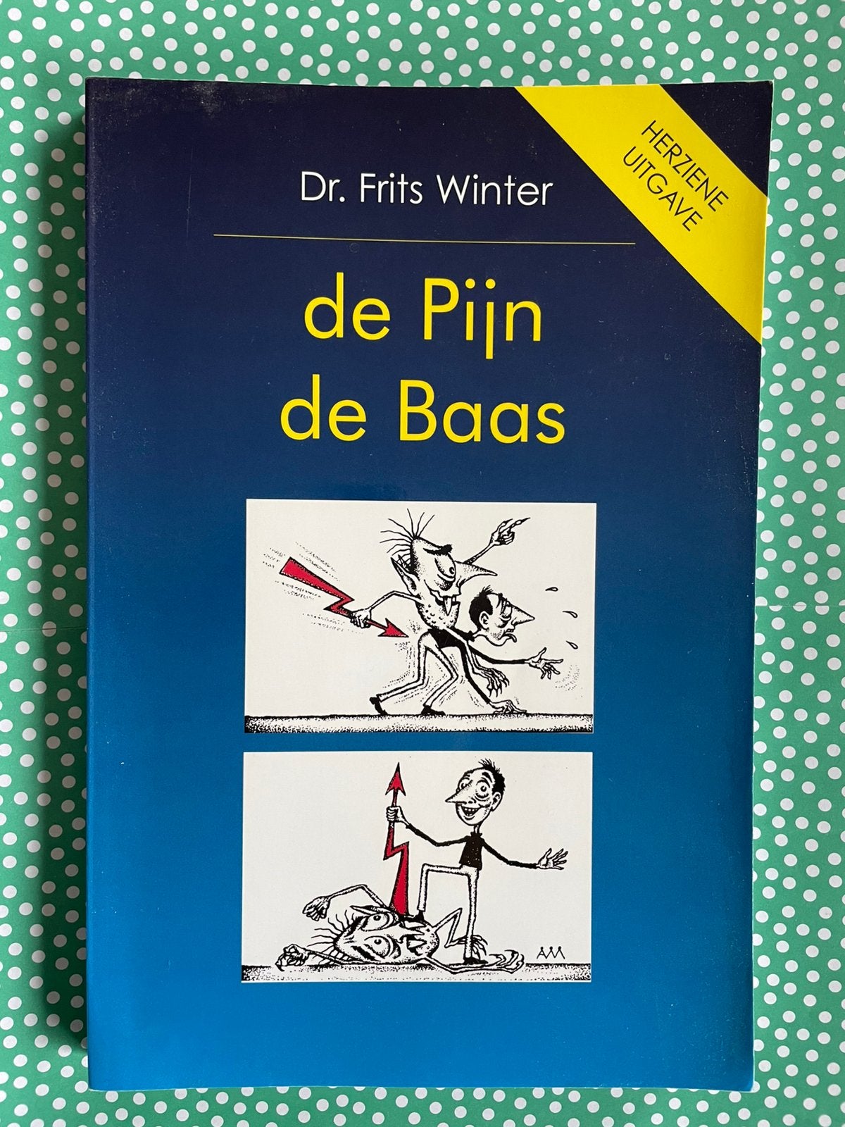 De pijn de baas, door dr. Frits Winter, Ophalen of Verzenden, Zo goed als nieuw, Overige typen