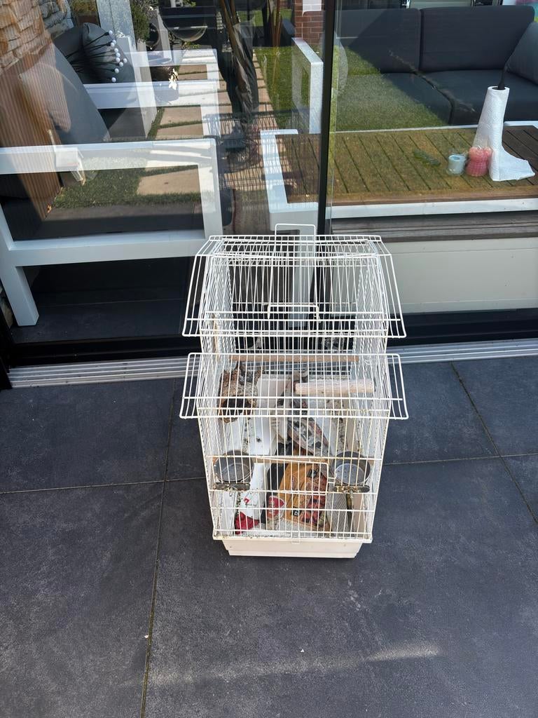 Vogelkooi zo goed als nieuw + gratis beukenhoutsnippers., Dieren en Toebehoren, Vogels | Hokken en Kooien, Ophalen, Metaal, Vogelkooi