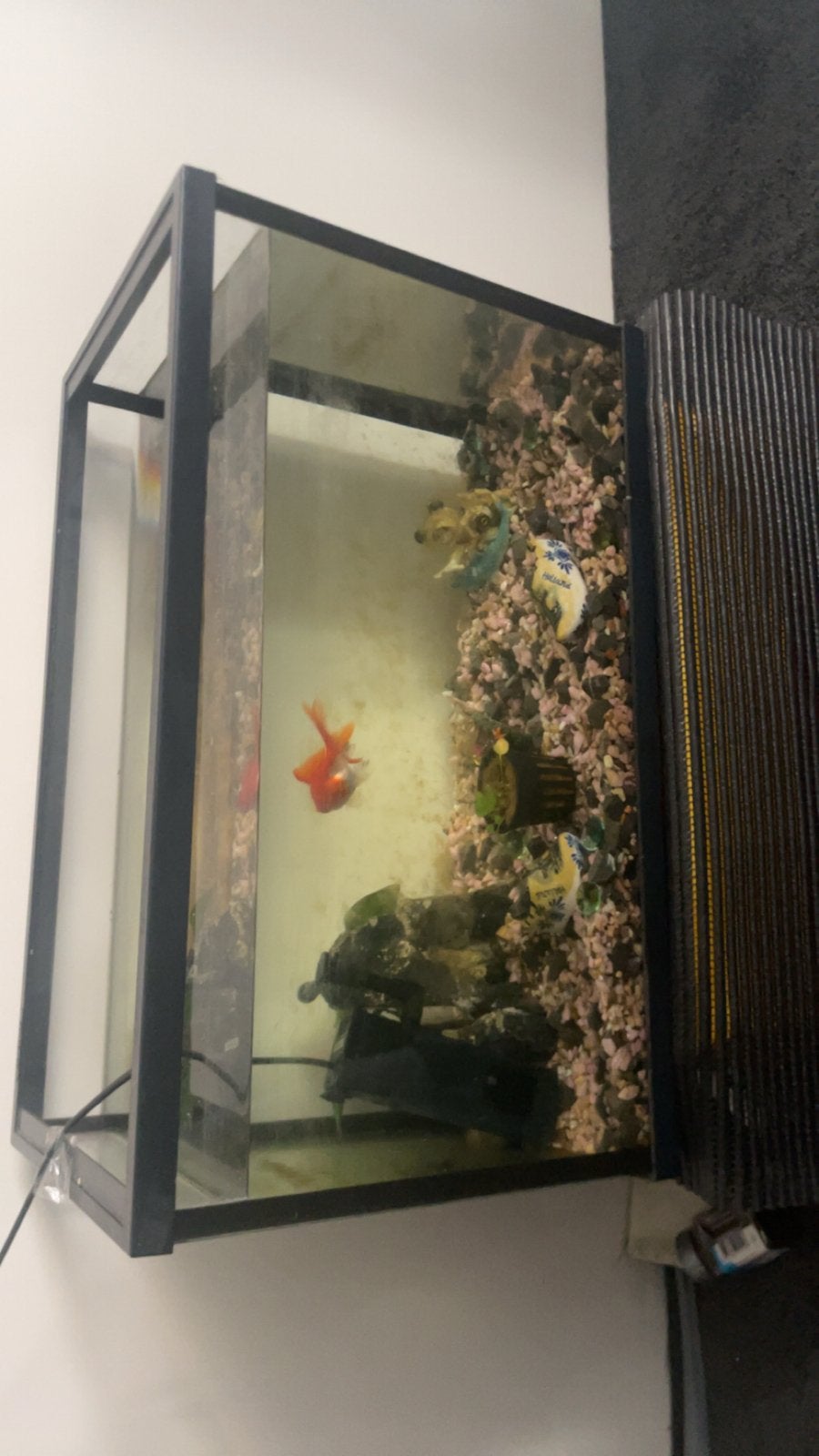 Aquarium tropisch/normaal, Dieren en Toebehoren, Ophalen, Nieuw