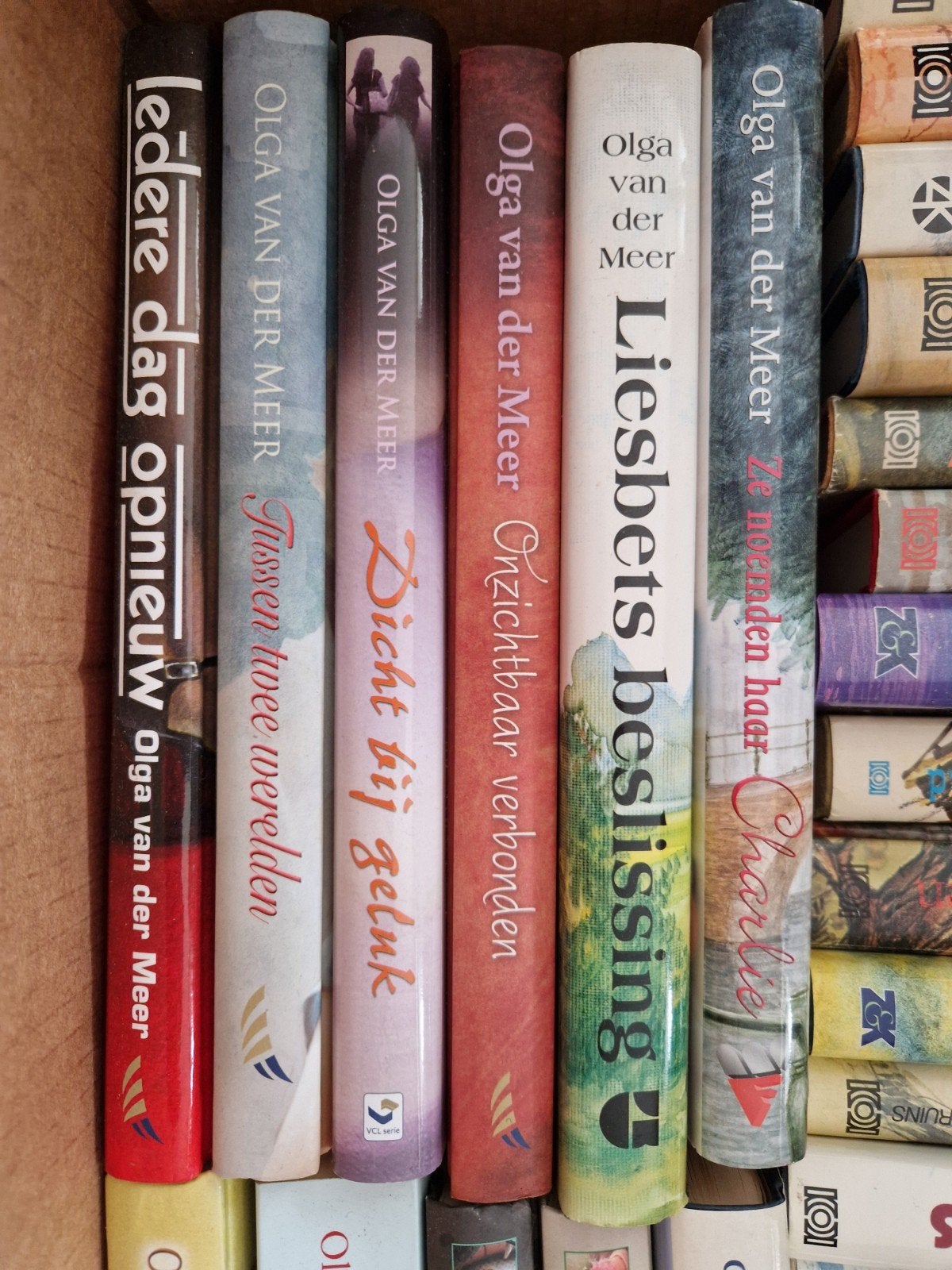 6 romans van Olga van der Meer - Diverse titels, Ophalen of Verzenden, Gelezen, Olga van der Meer