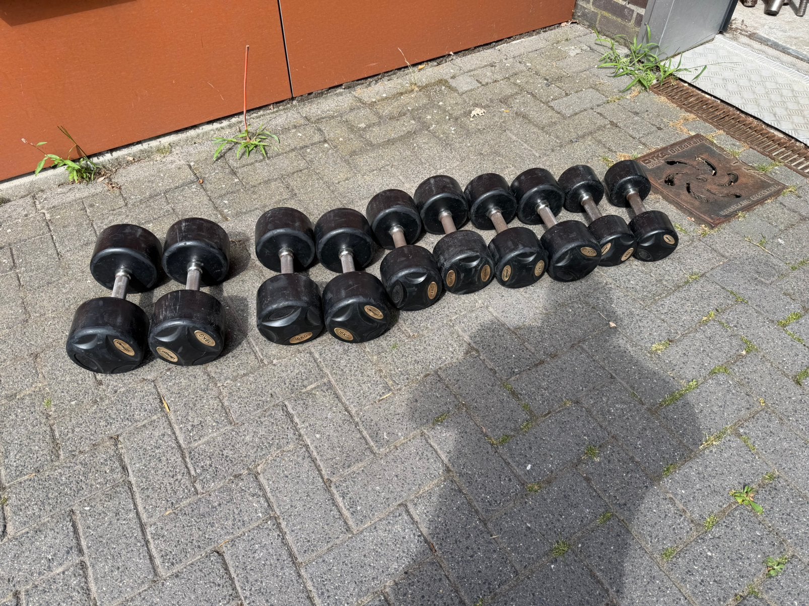 Lifemaxx Dumbells 8kg t/m 18kg, Ophalen, Gebruikt, Dumbbell
