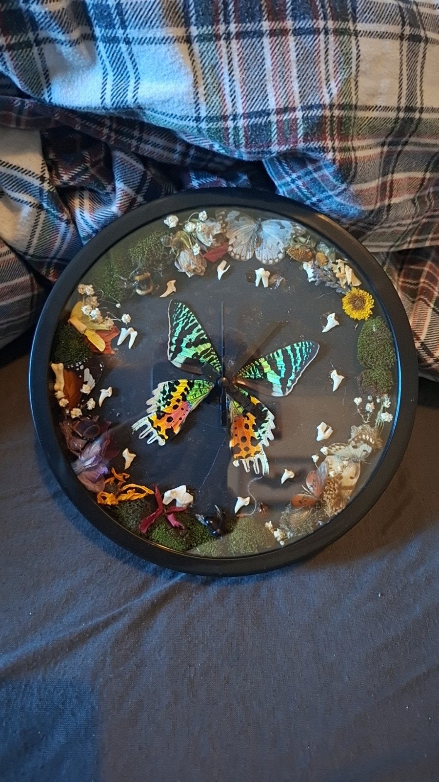 Taxidermy klok met vlinder, Ophalen of Verzenden, Zo goed als nieuw, Wandklok