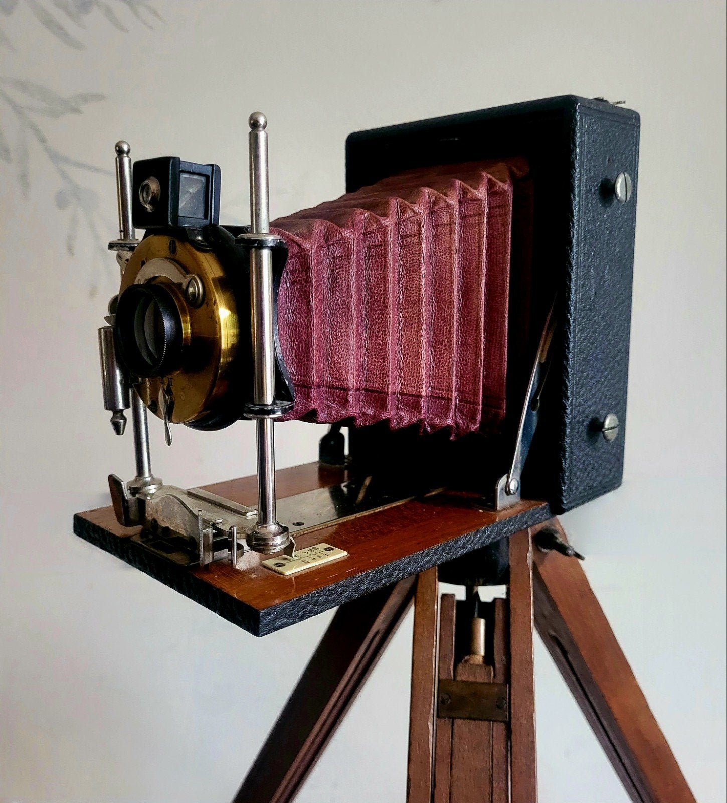 Antieke Balg camera, Ophalen of Verzenden, Gebruikt, Compact, Overige Merken