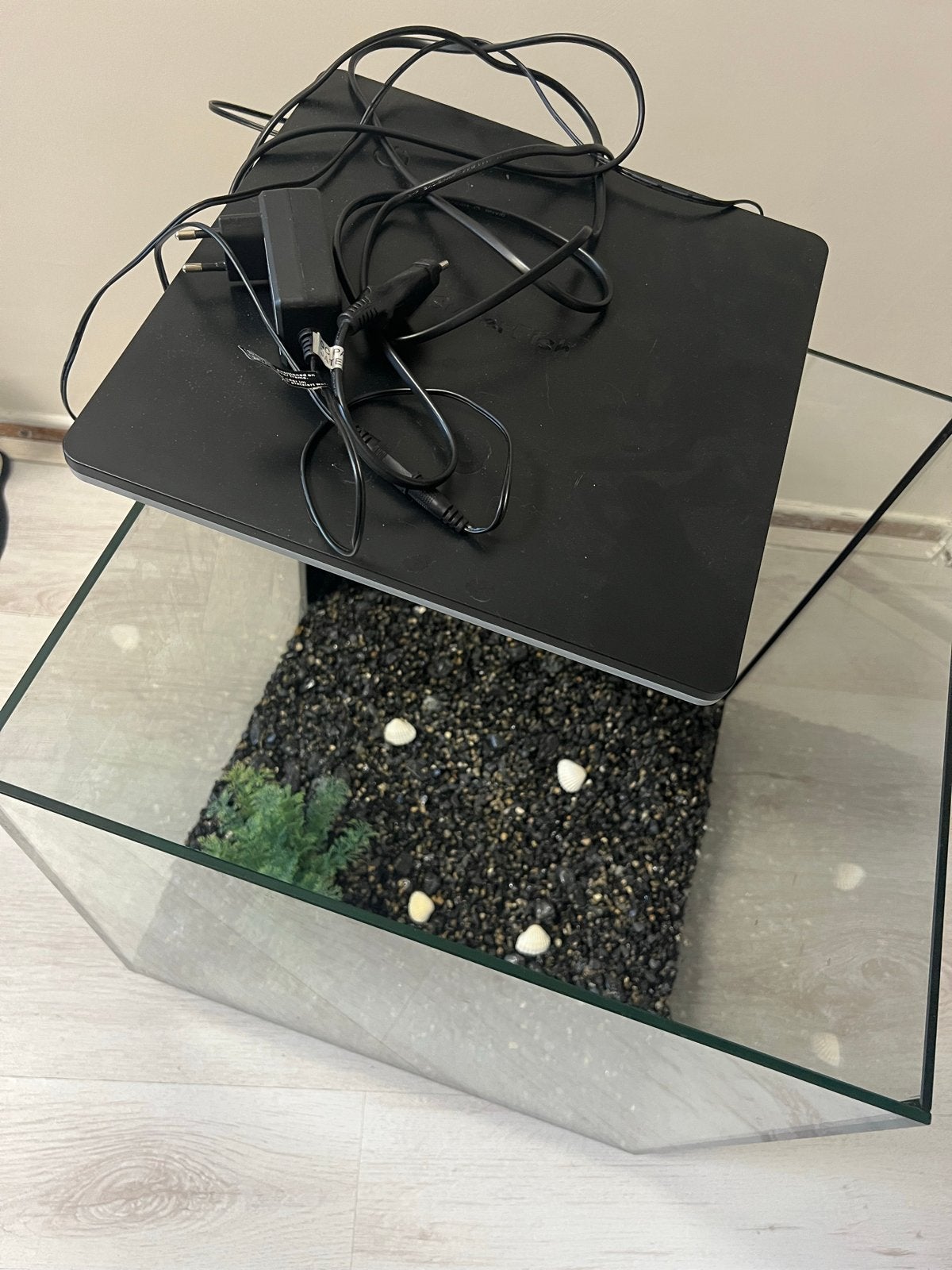 Mooie complete aquariumset 60L – Zo goed als nieuw, Ophalen, Zo goed als nieuw, Leeg aquarium, Inclusief planten