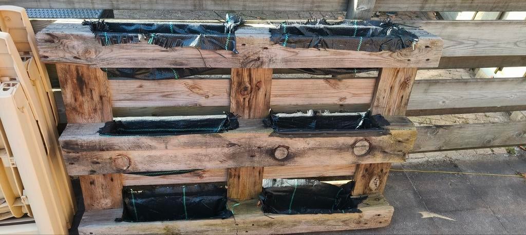 Moet weg!!! Europallet moestuinbak met worteldoek, Gebruikt, 100 cm of meer, Ophalen of Verzenden, 60 cm of meer