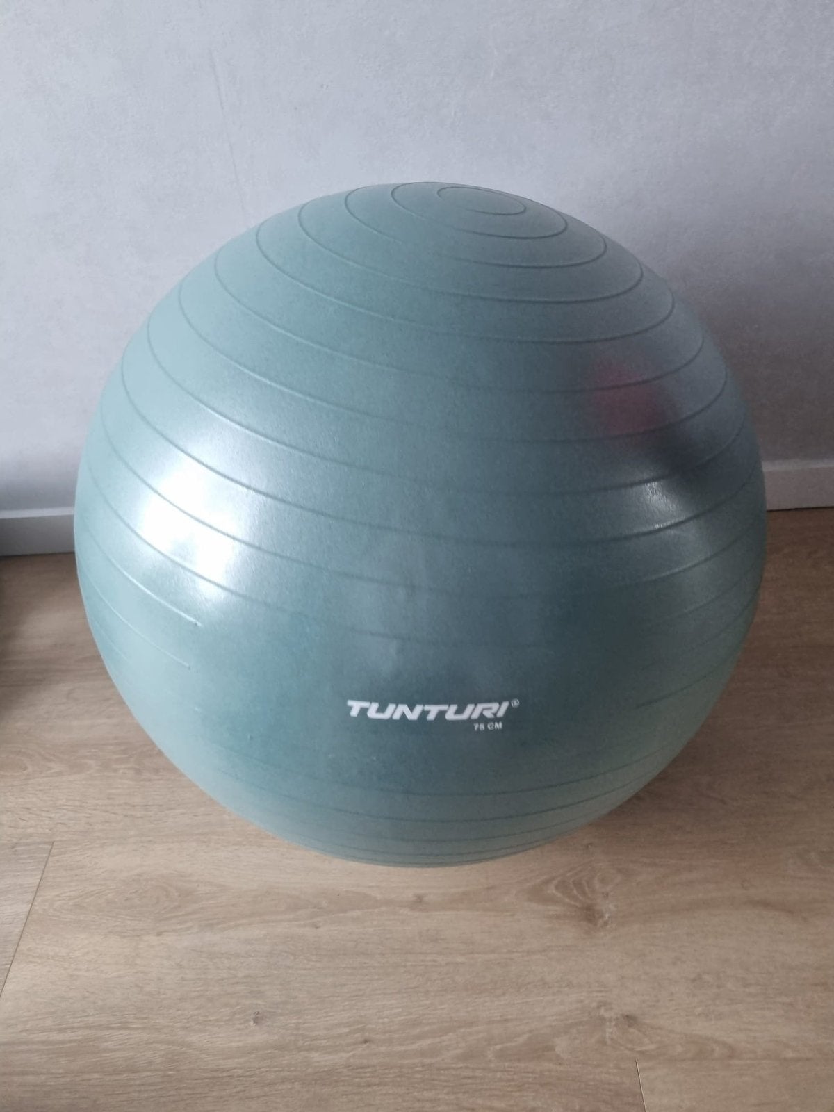 Tunturi Fitnessbal 75 cm Anti-Burst + Pomp, Ophalen, Zo goed als nieuw