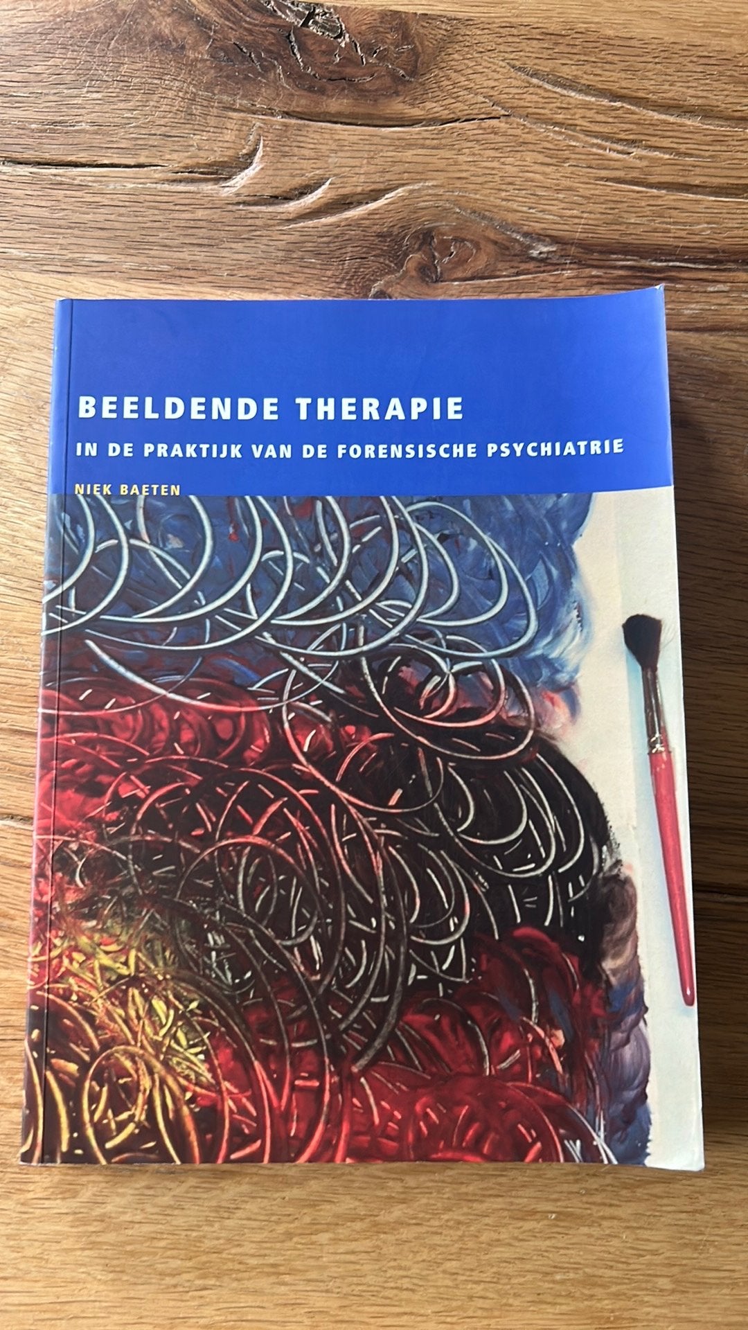 Beeldende Therapie in Forensische Psychiatrie - Niek Baeten, Ophalen of Verzenden, Zo goed als nieuw, Nederland
