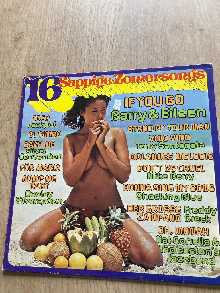 LP 16 Sappige Zomersongs, Ophalen of Verzenden, Gebruikt, Overige formaten